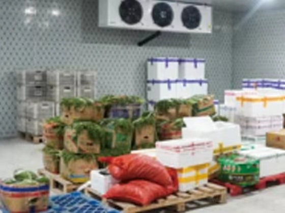 Variable Frequency Freezer 