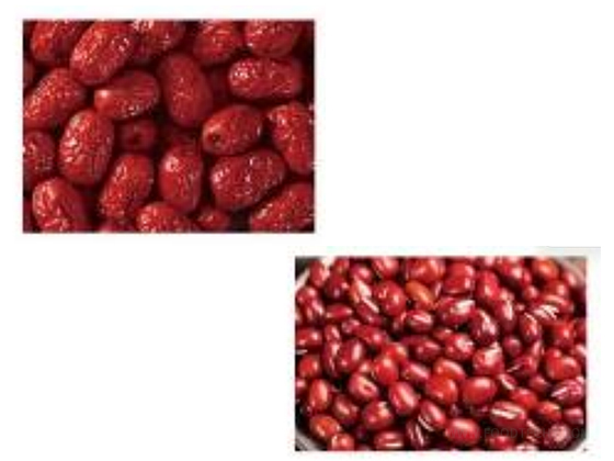 Fruit paste beating machine---XY-DJ-20