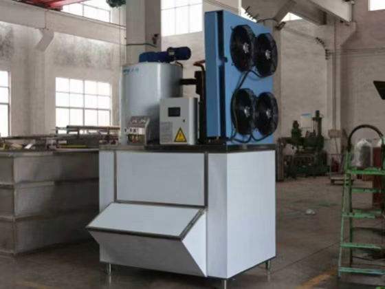 Low failure rate Small Freshwater flake ice machine BMF20