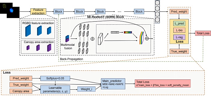 Deep Learning Meets Plant Physiology: 92.96% Accurate Fresh Weight Prediction for Lettuce Across Full Growth Cycle &ndash; 2026 Breakthrough Study