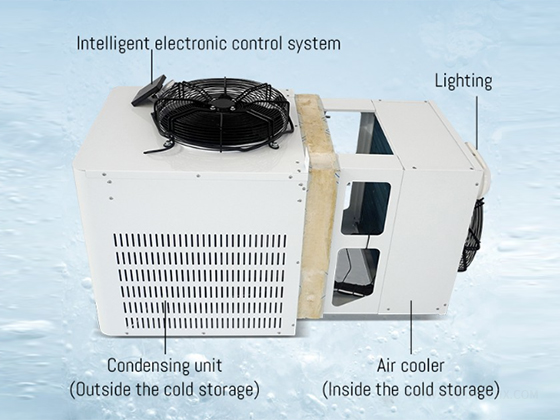 Cold storage 20ft mobile container