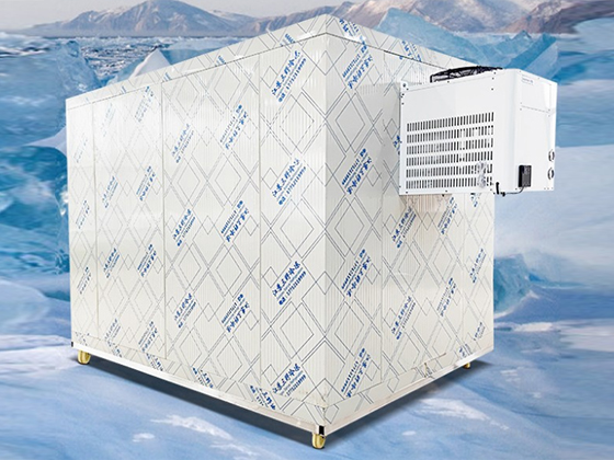 Cold storage 20ft mobile container