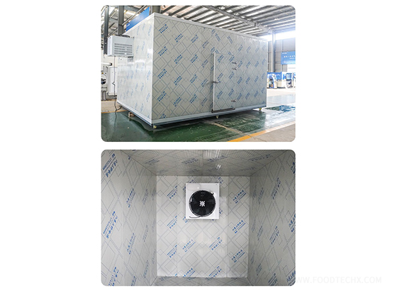 Cold storage 20ft mobile container
