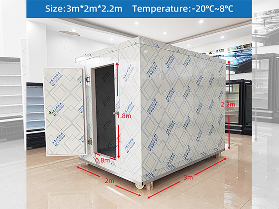 Cold storage 20ft mobile container