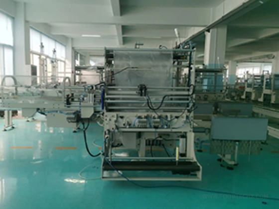 Automatic High speed Disposable paper bowl --- TCJ-QSJ700