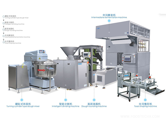 Intelligent dividing and rounding machine----1-pocket