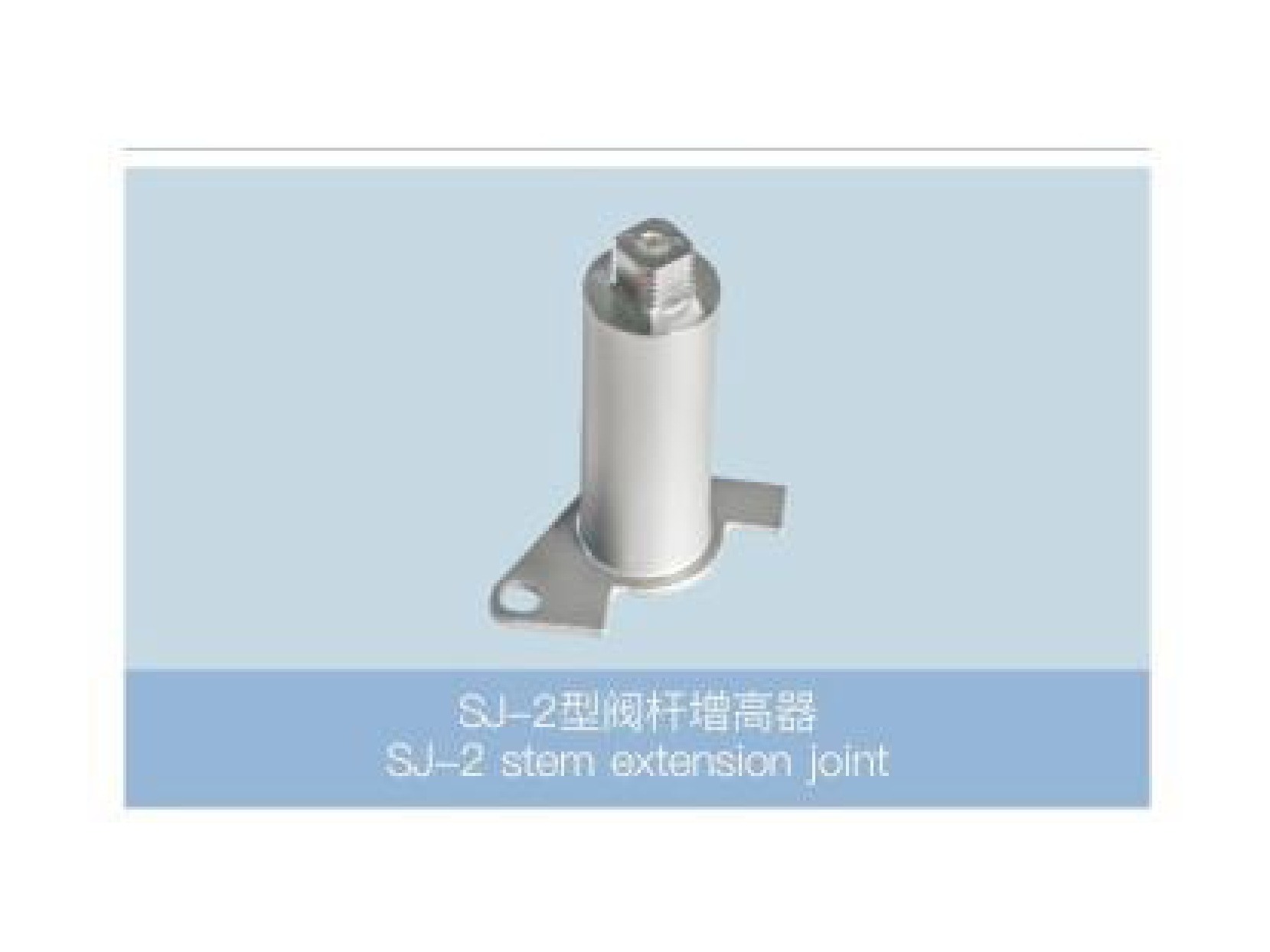 Stem Extension Joint