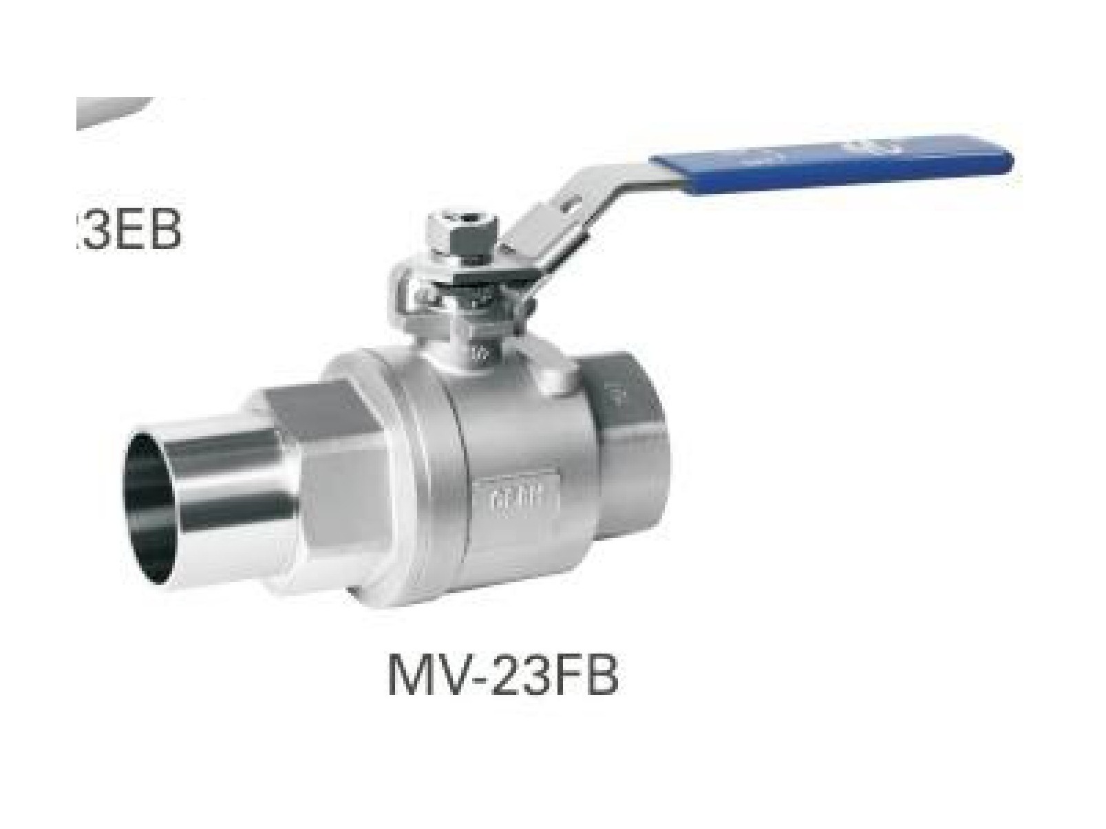 2-PC Extension Butt-Weld Ball Valve (Full Bore)
