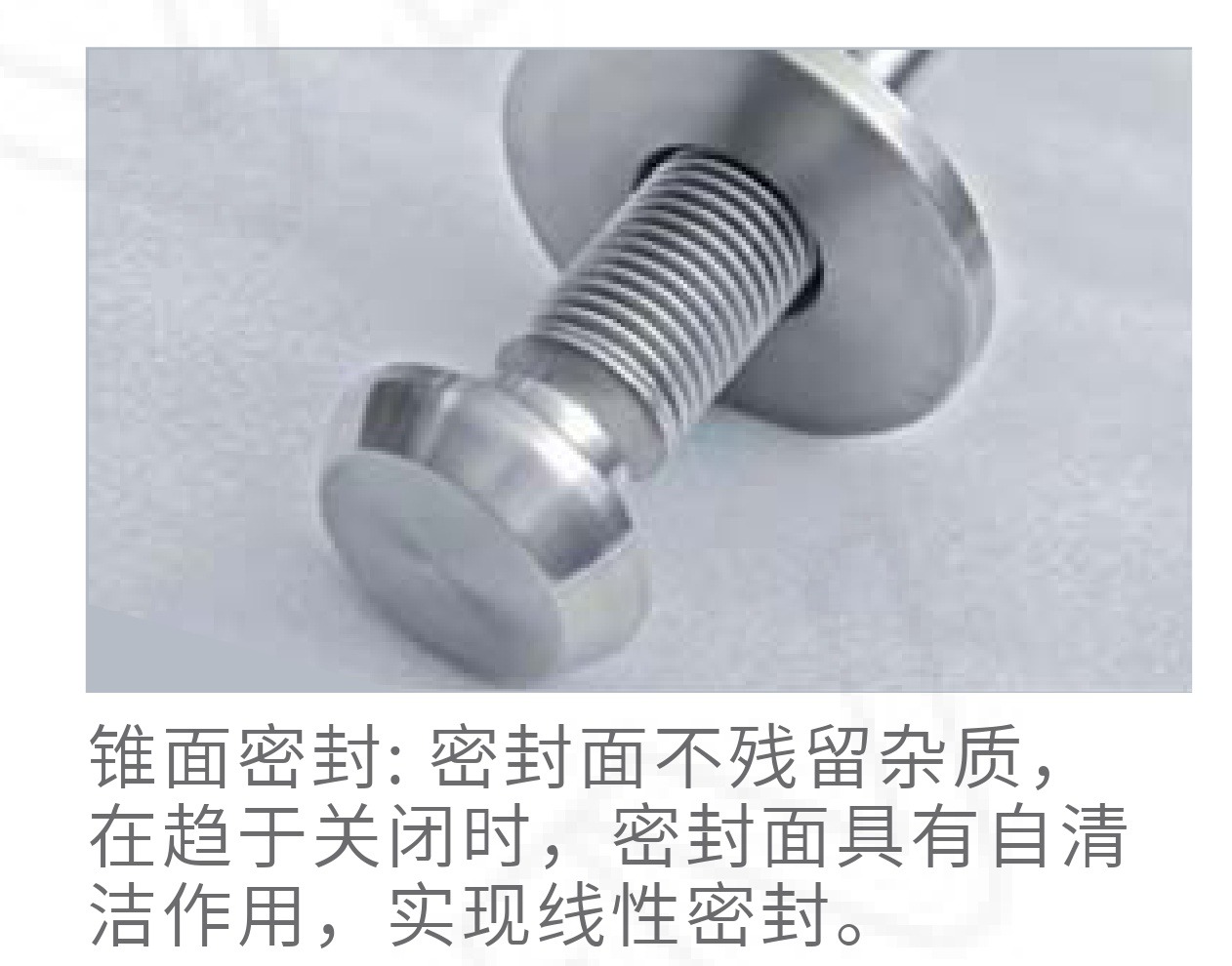 WJ41H-16C/DN150 Bellows Sealed Globe Valve PN16