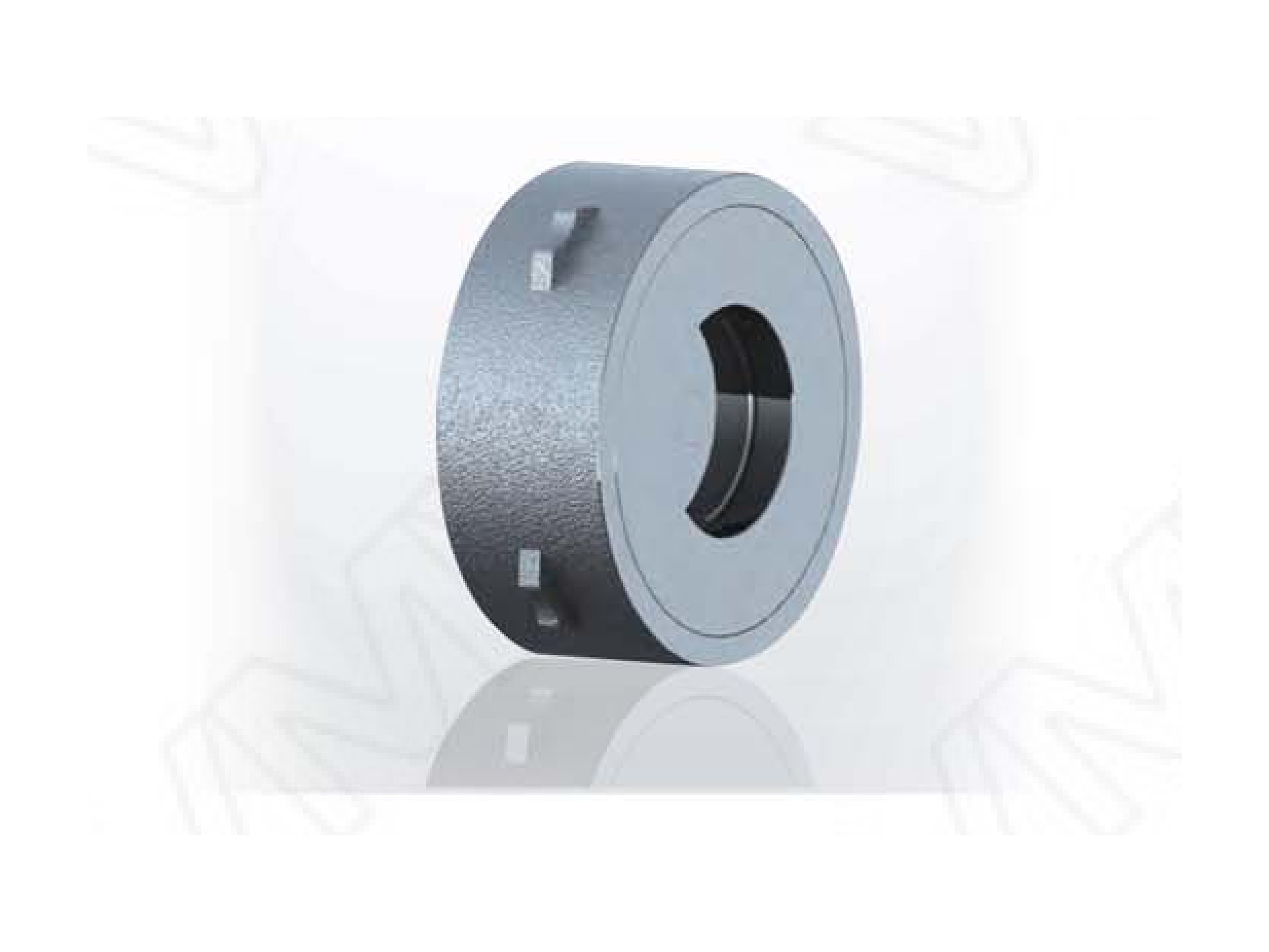 Precision Wafer Check Valve