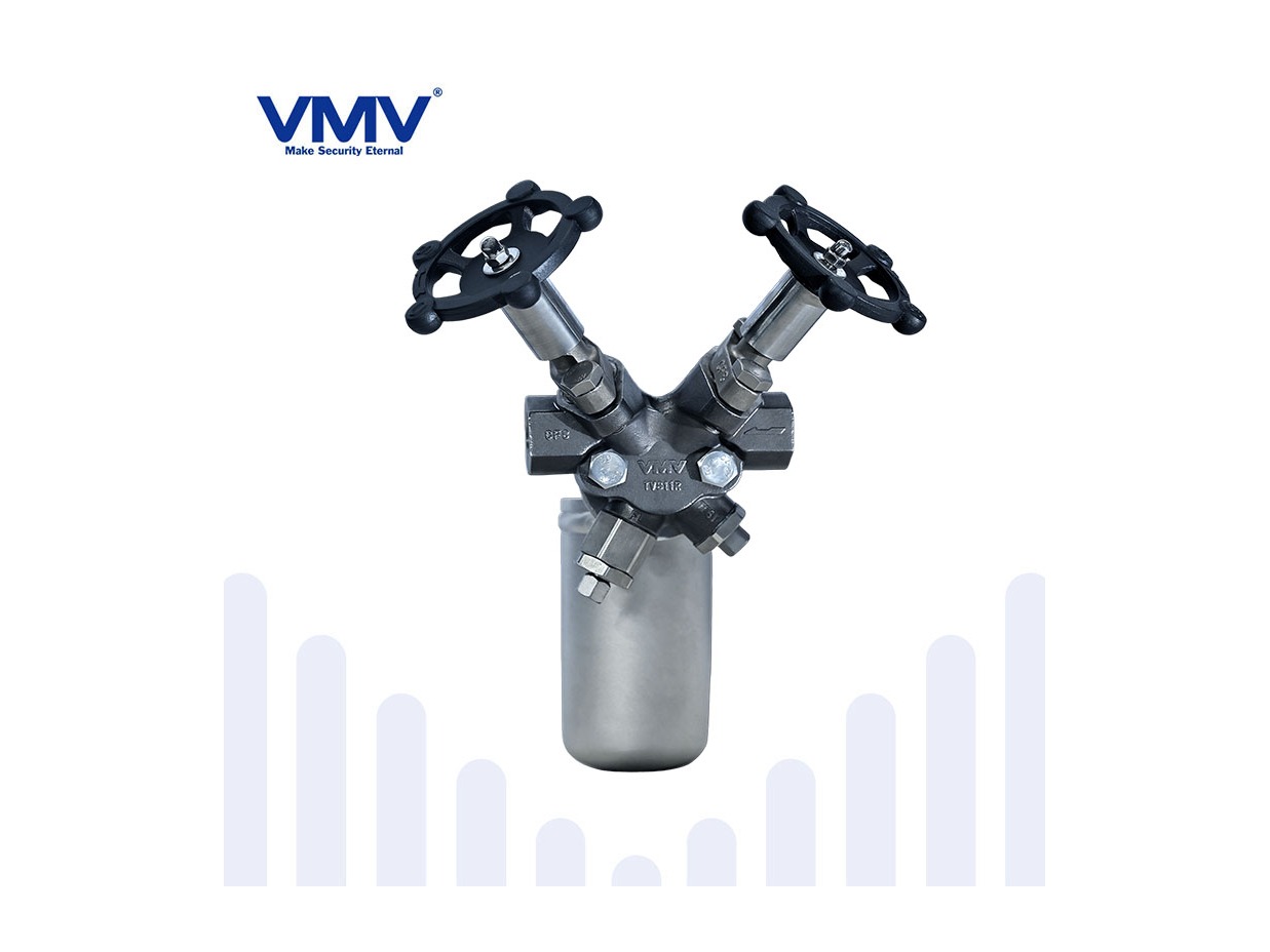 Inverted Bucket Steam Trap Station