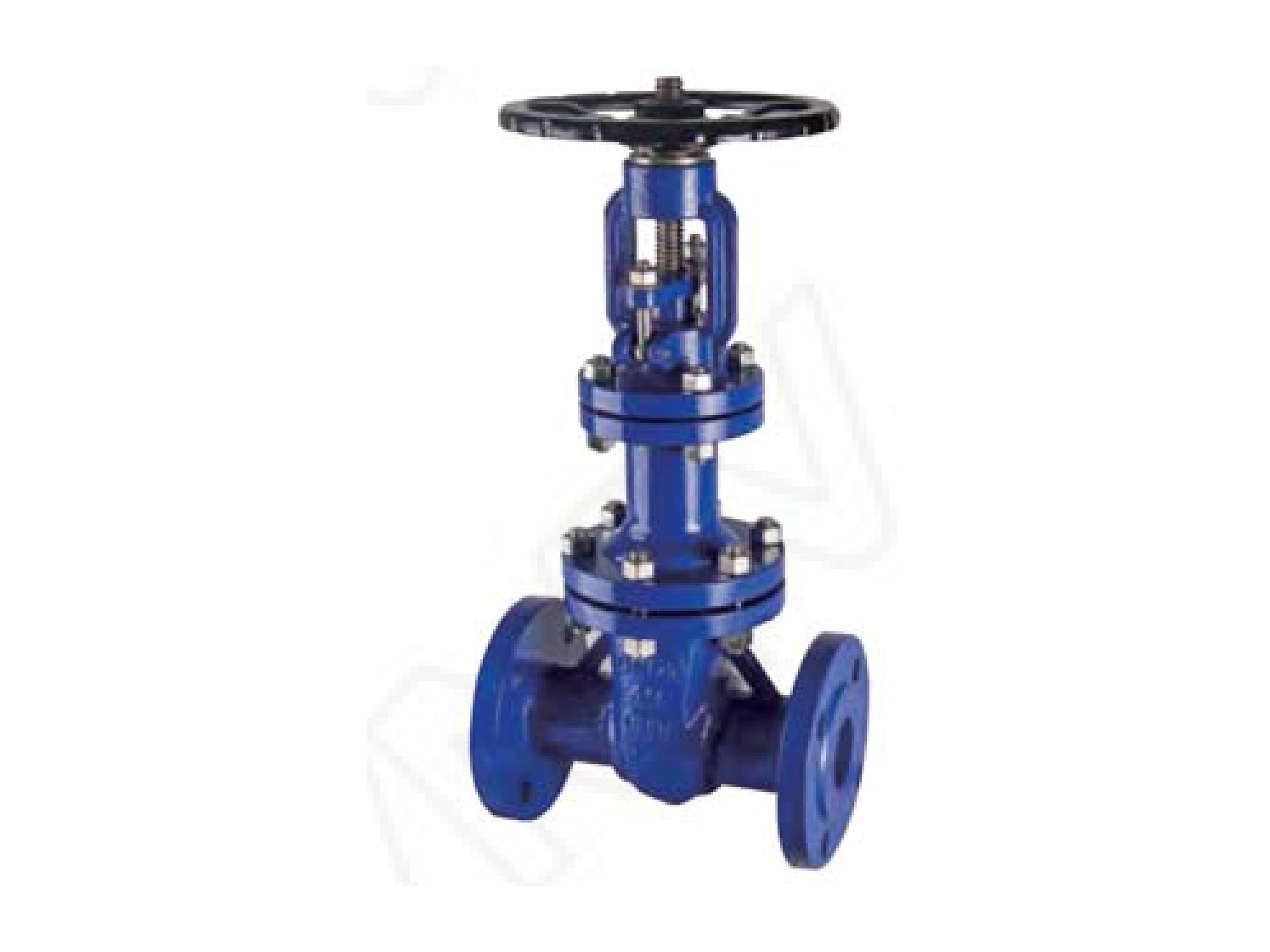 WZ41H-40C/DN250 Bellows Sealed Gate Valve