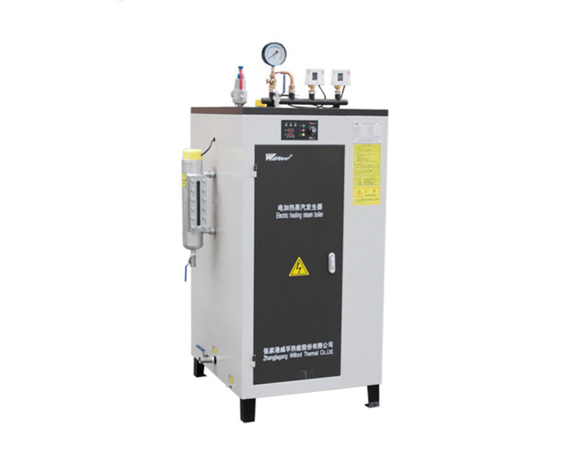 Inspection-free electric steam generator LDR0.025 - 0.7	