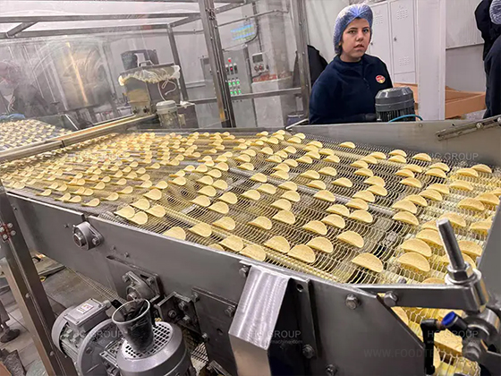 Compound Potato Chips Production Line---HG-CPC250