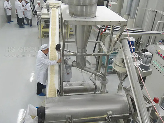 Compound Potato Chips Production Line---HG-CPC250