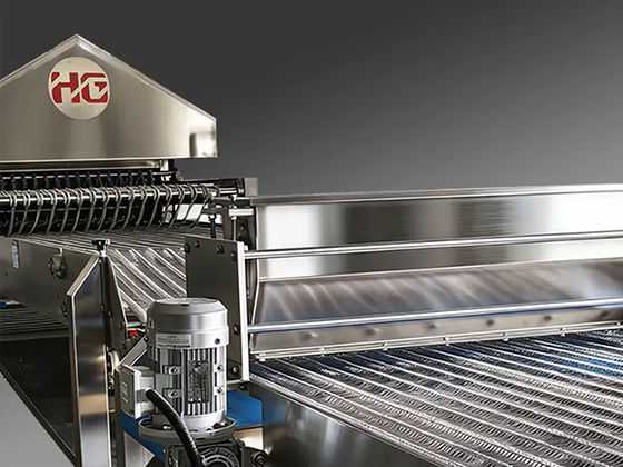 Compound Potato Chips Production Line---HG-CPC250