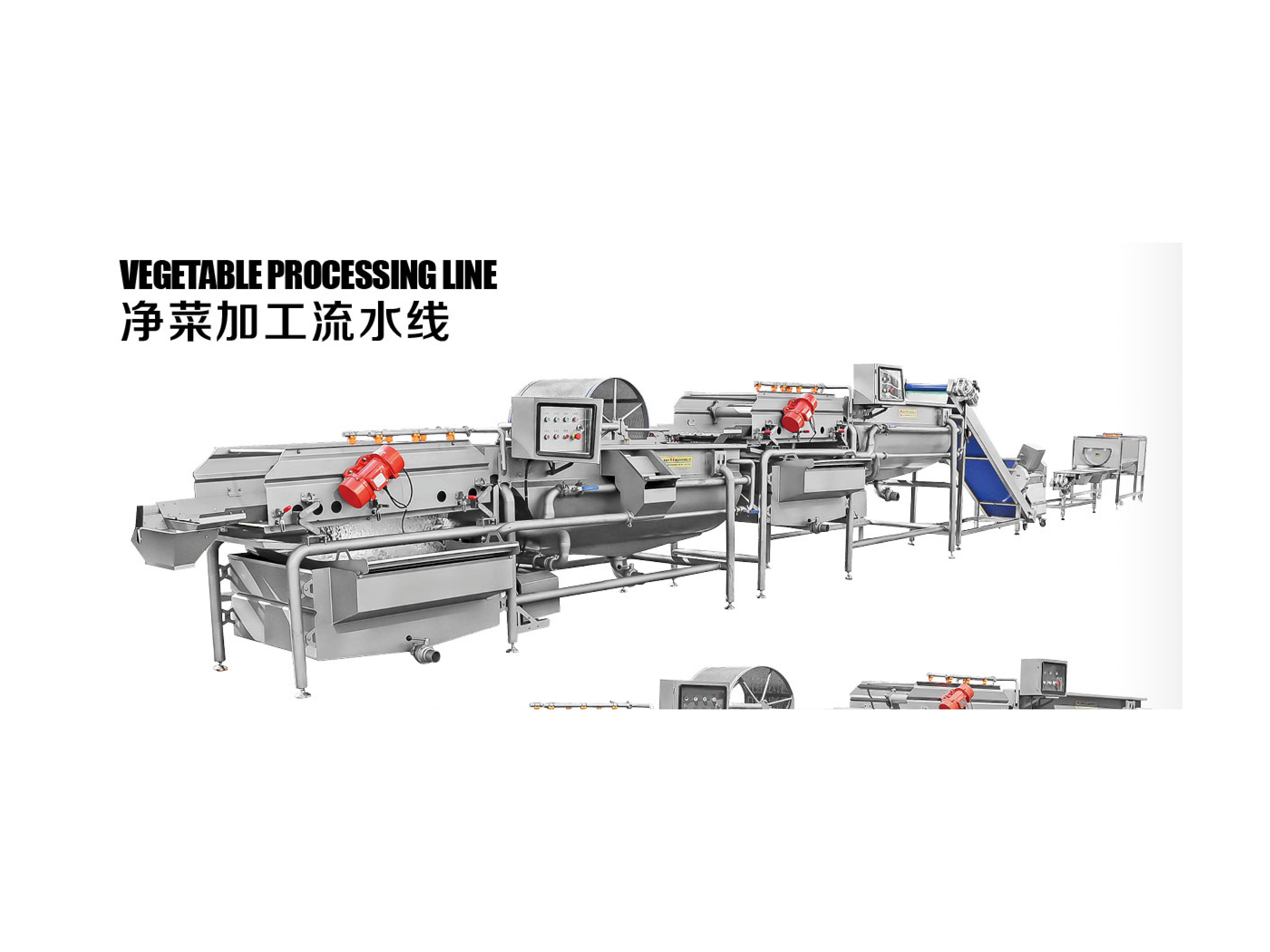 VEGETABLE PROCESSING LINE