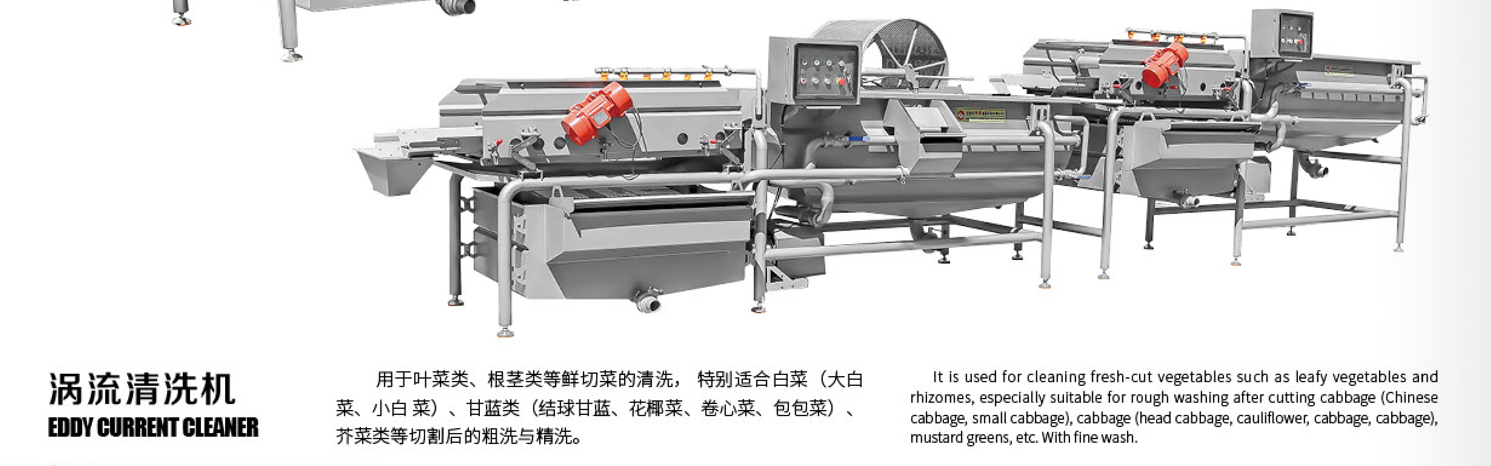 VEGETABLE PROCESSING LINE