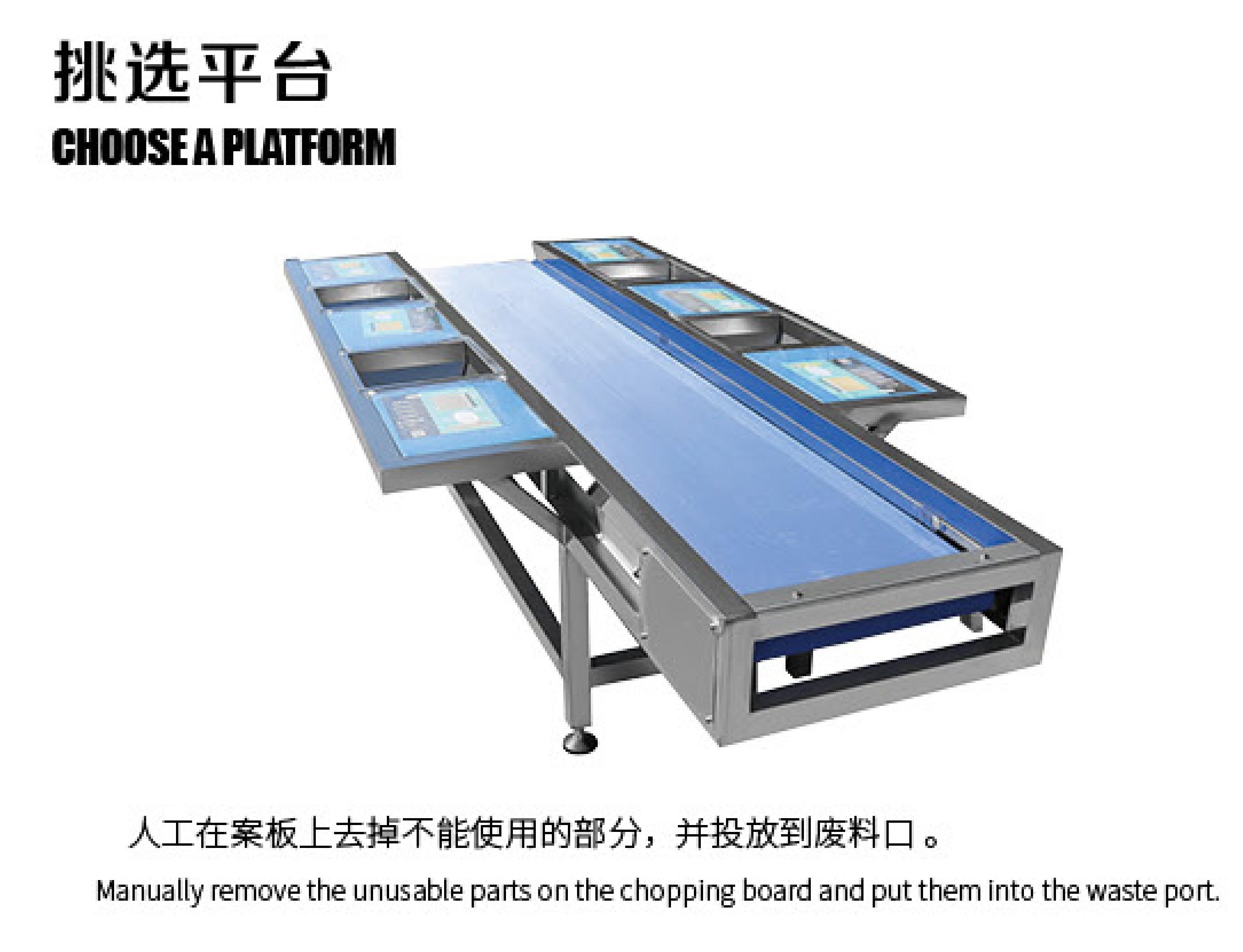 VEGETABLE PROCESSING LINE