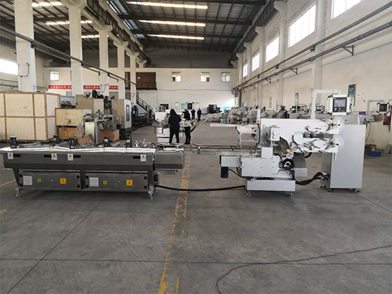 Double Twist Candy Packing Machine --- SL-SBSN450