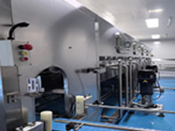 Internal Washing, Filling and Capping Machine NX2-12 (300BPH)