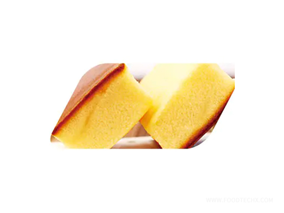 Steel Belt Cake Improver--- CR-380G