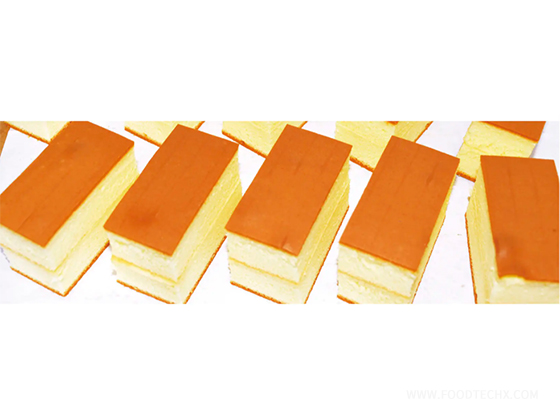 Steel Belt Cake Improver--- CR-380G
