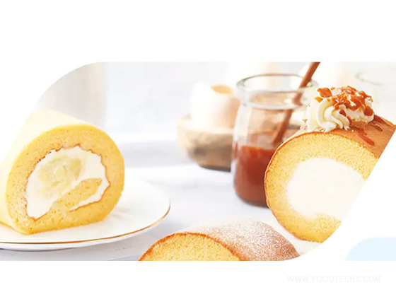 Steel Belt Cake Improver--- CR-380G