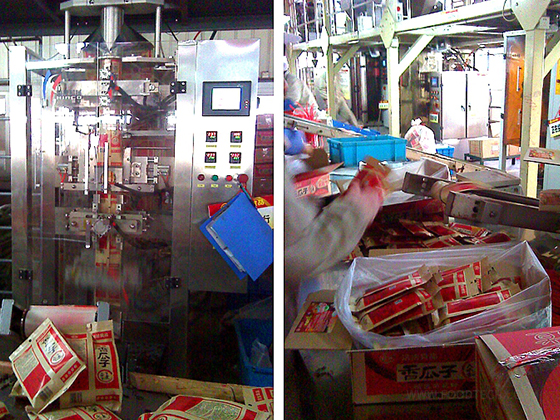 Back Seal Pouch Melon Seed Packing Machine---LD-420A