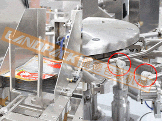 Pre-made Pouch Coffee Powder Packing Machine --- LD-8200