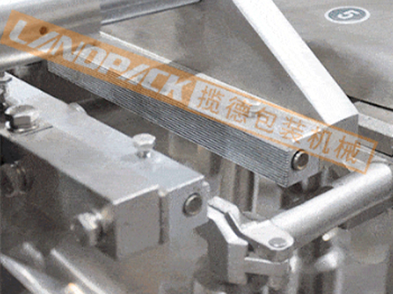 Hot Pot Base Packaging Machine---  LD-8250