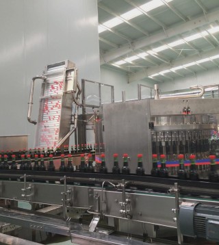 High-end Intelligent Glass Bottling Line for Condiments/spirits/red wine