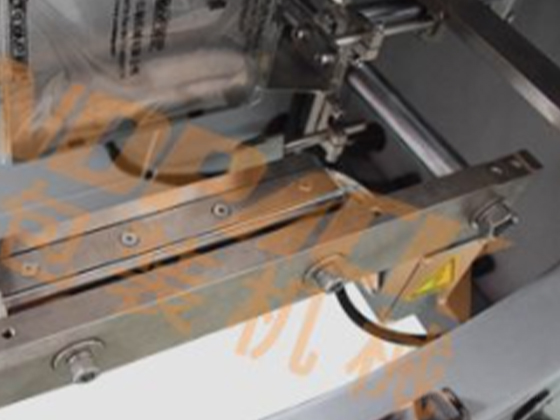 Back Seal Pouch Melon Seed Packing Machine---LD-420A