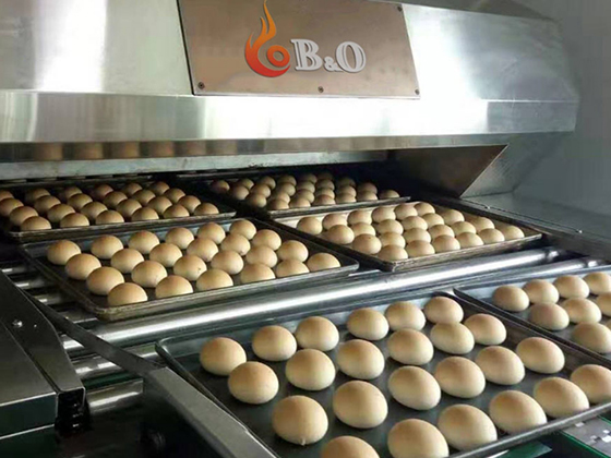 Direct Gas Fired Tunnel Oven---Two trays