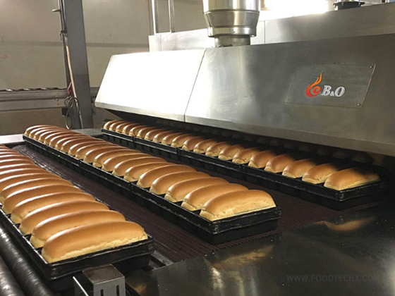 Indirect Gas Fired Tunnel Oven---Two trays