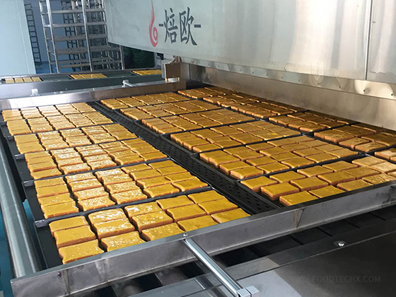 Direct Gas Fired Tunnel Oven---Two trays