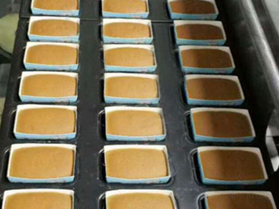 Direct Gas Fired Tunnel Oven---Two trays
