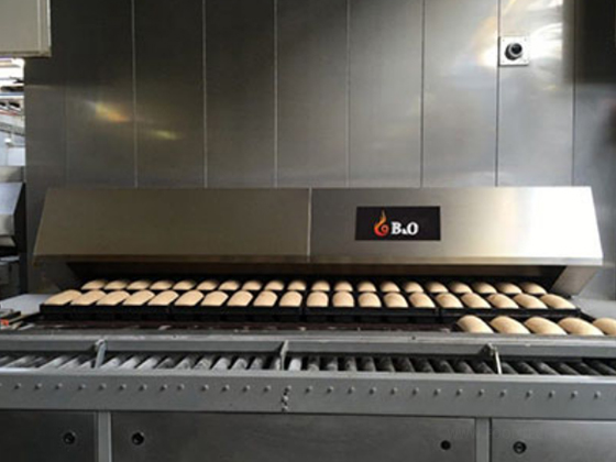 Indirect Gas Fired Tunnel Oven---Two trays