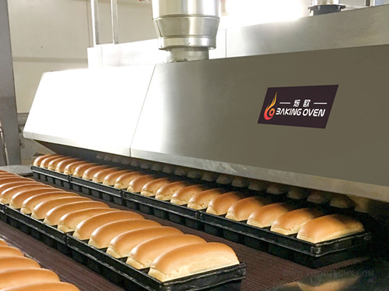 Indirect Gas Fired Tunnel Oven---Two trays