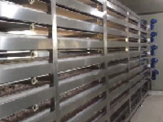 Multi-layer Continuous Fermenter