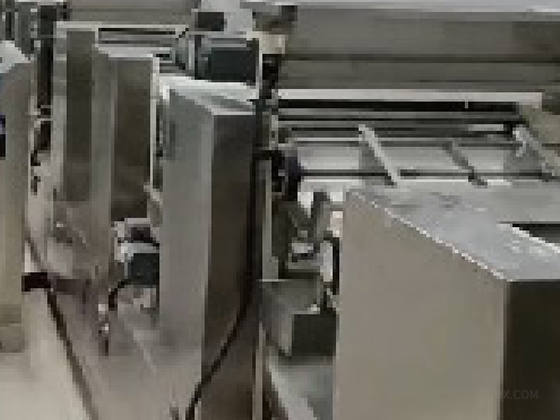 Multi-channel Continuous Noodle Press