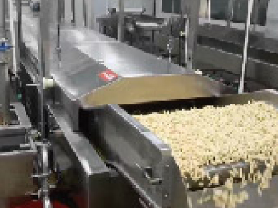Fully Automatic Fryer
