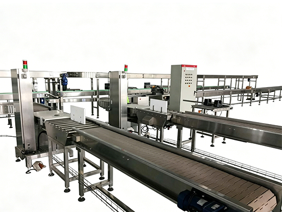Stainless Steel Slat Chain Conveyor---SHIAN2016-5001