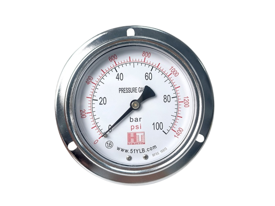 Customized YN Series shock-resistant Liquid filled gauge