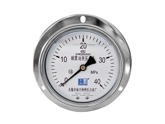 YNTZ Series Seismic Resistance Remote Transmission Pressure Gauge