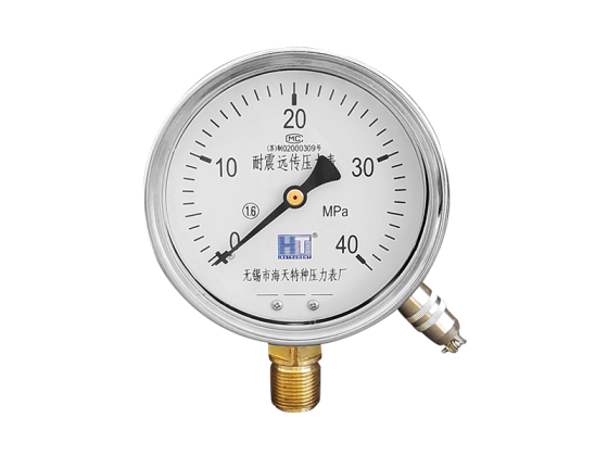 YNTZ Series Seismic Resistance Remote Transmission Pressure Gauge