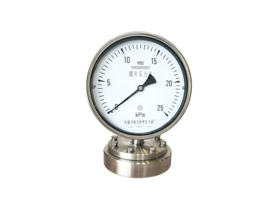 YPF series Stainless steel Diaphragm pressure gauge