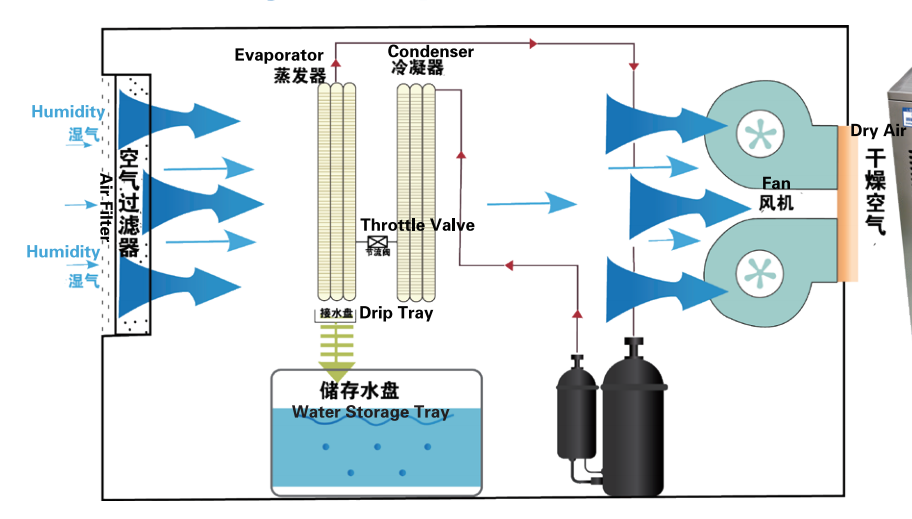Refrigeration & Heating Dehumidifier ---CSL05-01 