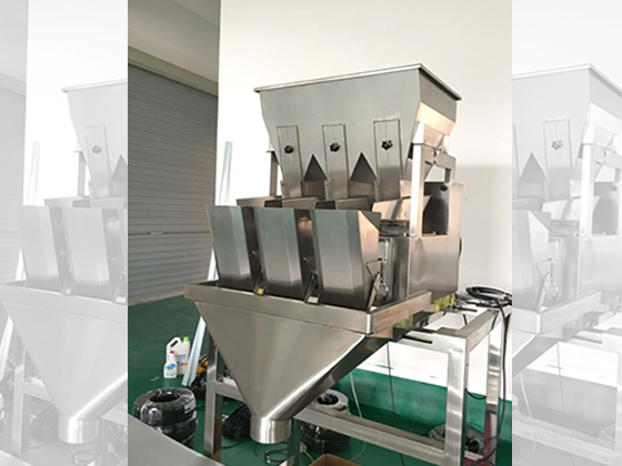 3 Head Linear Weigher --- CBW-1B3(30)