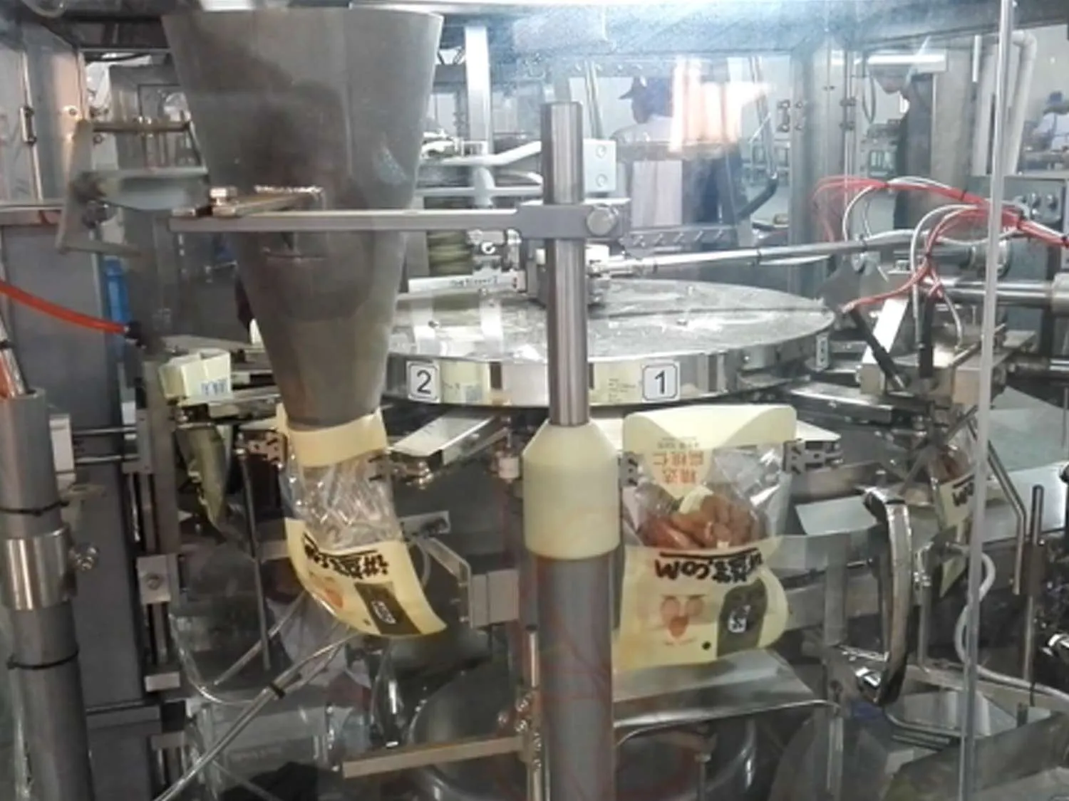YL-R100---Premade Pouch Vacuum Packaging Machine